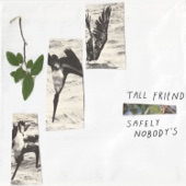 Tall Friend - Small Space