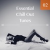 Essential Chill Out Tunes, Vol. 02