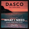 What I Need (Right Here, Right Now) [feat. Justina Maria] - EP