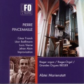 30 Jahre Rieger-Orgel Abtei Marienstatt artwork
