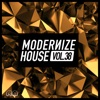 Modernize House, Vol. 38