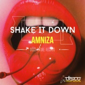 Shake It Down artwork