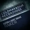 Raker - Single album lyrics, reviews, download