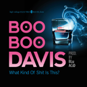 If You Ain't Never Had the Blues - Boo Boo Davis