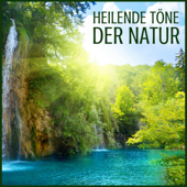 Heilende Töne der Natur - Naturgeräusche und Ruhe Tiefenentspannungsmusik zur Meditation, Stress Abbauen, Musiktherapie und Stressfrei Schlafen - Naturgeräusche Mutter