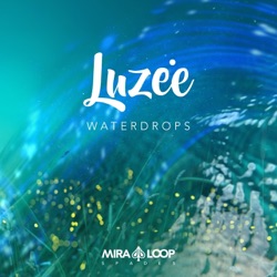 Luzee - Whale