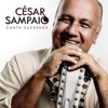 Cesar Sampaio Canta Sucessos, 2017