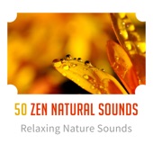 50 Zen Natural Sounds: Relaxing Nature Sounds, Reiki, Yoga, Spa, Meditation, Easy Control Emotions, Positive Calm Mind, Inner Peace artwork