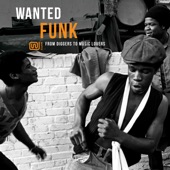 Wanted Funk: From Diggers To Music Lovers artwork