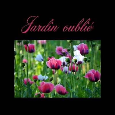 Oasis De Relaxation Apaisante Nature Musique Oasis Shazam
