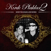 Kırık Plaklar, Vol. 2 artwork