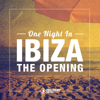 One Night in Ibiza - The Opening - Various Artists