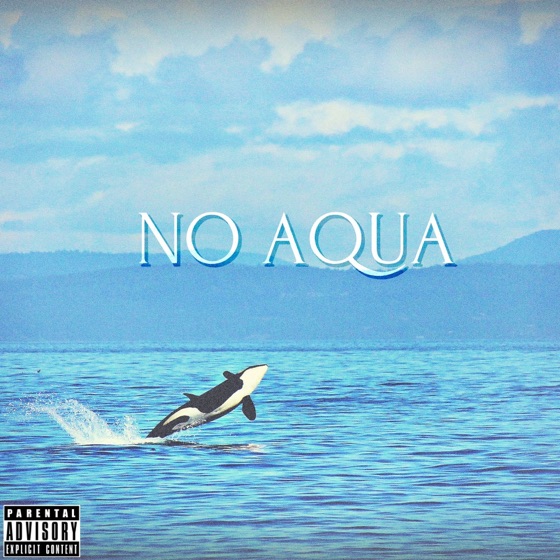 Cover artwork for No Aqua