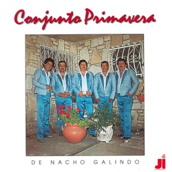 Conjunto Primavera - Olvidando el Pasado