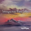 Introspective Piano Solos artwork