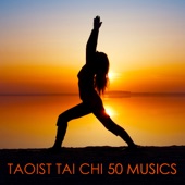 Taoist Tai Chi 50 Musics - Deep Zen Oriental Music for Tai Chi Practice and Meditation Exercises artwork