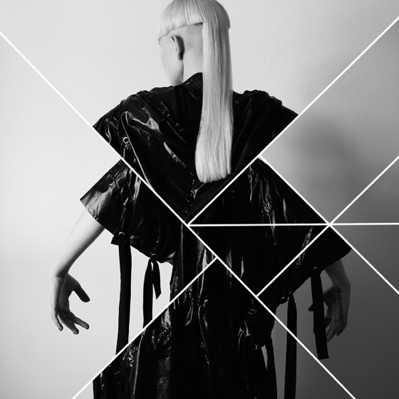 Cover artwork for Phoenix