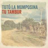 Totó La Momposina - Tu Tambor