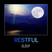 Restful Sleep – Natural Insomnia Cure, Soothing & Calming Music, Calm Down, Breathing Exercises, New Age, Mindfulness, Yoga for Better Sleep artwork