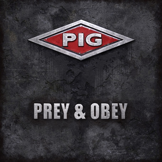 Cover artwork for The Revelation