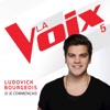 Si je commençais (La Voix 5) - Single