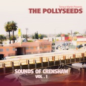 Terrace Martin Presents The Pollyseeds - Funny How Time Flies (feat. Robert Glasper & Terrace Martin)