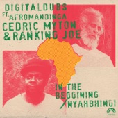 Zimba Dub (feat. Afromandinga) artwork