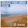 Unlock Your Inner Calm: 50 Tracks, Peaceful Yoga and Meditation Music to Quiet Your Mind, Relaxation Therapy & Healing album lyrics, reviews, download