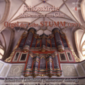 Orgel der Gebrüder Stumm (Schlosskirche Sankt Wolfgang, Meisenheim am Glan) - Elisabeth Ullmann