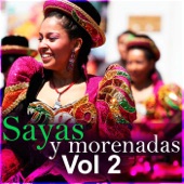 Sayas y Morenadas, Vol. 2 artwork