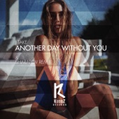 Another Day Without You (Sharapov Remix) artwork