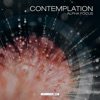 Contemplation (Alpha Focus) - EP