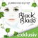Jennifer Estep - Black Blade: Das eisige Feuer der Magie (Black Blade 1)