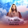 Ministerio de cristo - salmo 3 - David cuando huía de absalon