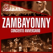 Concierto Aniversario (DVD) artwork