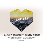When the Sun Goes Down (Instrumental Mix) artwork