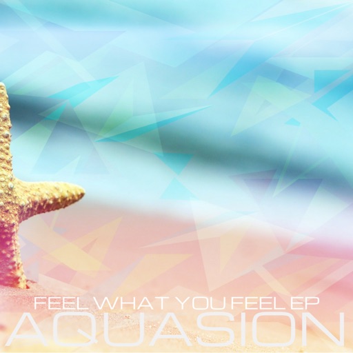 Feel What You Feel - EP by Aquasion