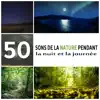 50 Sons de la nature pendant la nuit et la journée - Musique zen positive, découverte du bien-être, renforcement positif, méditation et relax album lyrics, reviews, download