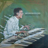 Steve Winwood - Fly