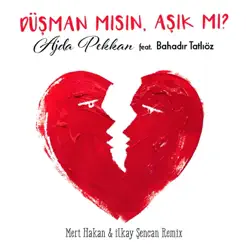 Düşman mısın Aşık mı? (feat. Bahadır Tatlıöz) [Mert Hakan & İlkay Şencan Remix] - Single - Ajda Pekkan