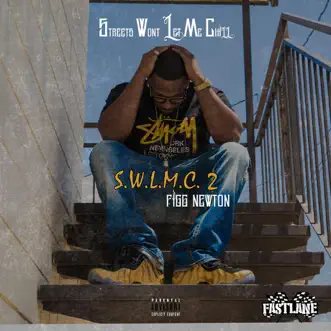 Still Wit da B******t by Figg Newton song reviws