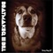 Stray Dog - Beatmaker Bill lyrics