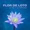 Flor de Loto - Meditación Música Ambiente lyrics