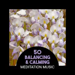 50 Balancing & Calming Meditation Music – Soothe Your Soul with Soft Sounds, Best Music Session for Relaxation, Stress Relief, Regeneration & Harmony by Relaxation & Meditation Academy album reviews, ratings, credits