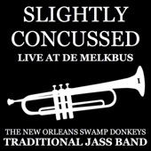 Slightly Concussed I (Live at de Melkbus) artwork