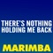 There's Nothing Holding Me Back (Marimba Remix) - The Marimba Squad lyrics