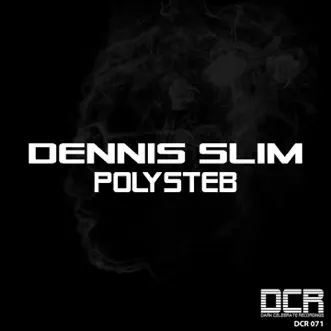 Polysteb - Single by Dennis Slim album reviews, ratings, credits