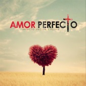 Amor Perfecto artwork