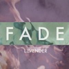 Fade - Single