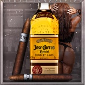 José Cuervo artwork